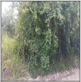 Terreno em Itaboraí, Agro Brasil (sambaetiba), Estrada Trinta E Dois, N. 0, Lt37 Qd37 Nucleo Agrobrasil N Sra Carm, RJ. Área: 0m2