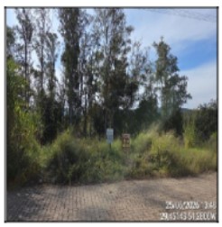 Terreno em Feliz, Picada Cará, Rua Lauro Renato Mayrer Rua A, N. Sn, Lt 02 Qd J, RS. Área: 375.92m2