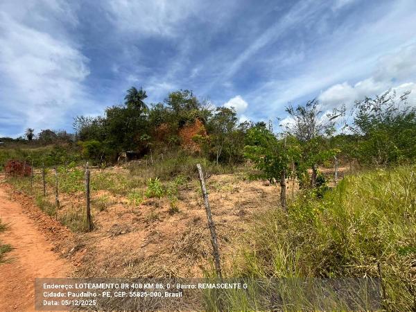 Terreno em Paudalho, Br 408 Km 86, Br 408 Km 86, N. 0, Area D 09, PE. Área: 2092.29m2