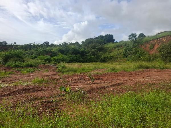 Terreno em Paudalho, Br 408 Km 86, Rodovia Br-408 Km 86, N. Sn, Area D-04  Desmem. Do Terreno G-1, PE. Área: 2084.52m2