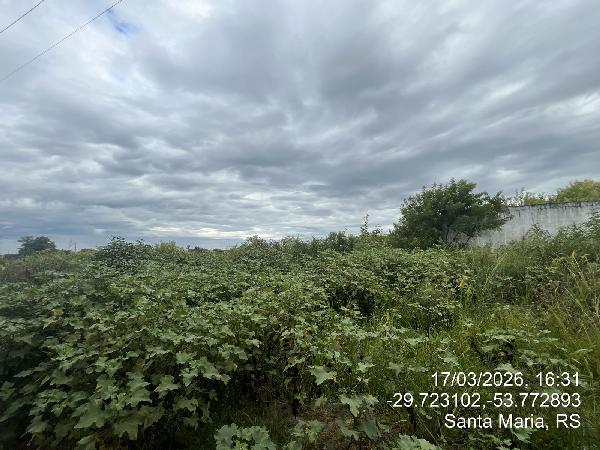 Terreno em Santa Maria, Lot Jardim Berleze, Quadra A, N. Sn, Lt 29, RS. Área: 3500m2