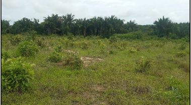 Terreno em Viana, Picarreira, Rua Da Faixa, N. 100, Canarana, MA. Área: 31416m2