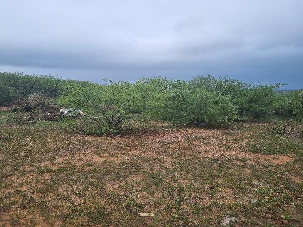 Terreno em São Vicente, Alto Da Candelária, Rua Projetada, N. 265, ., RN. Área: 28400m2