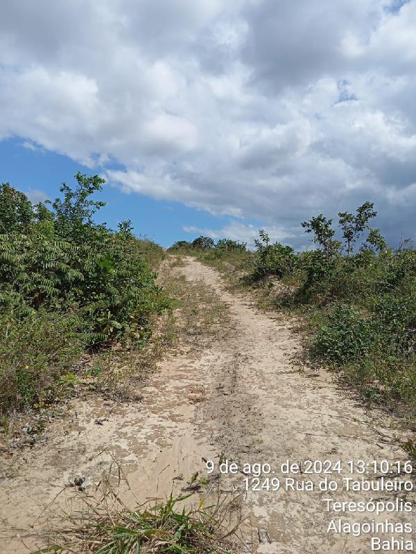 Terreno em Alagoinhas, Nova Brasilia, Rua Sao Gabriel, N. Sn,, BA. Área: 20000m2