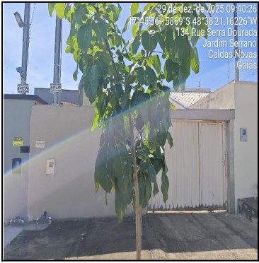 Casa em Caldas Novas, Jardim Serrano, Rua Serra Dourada, N. 150, Qd 49 Lt 12a, GO. Área: 66.5m2