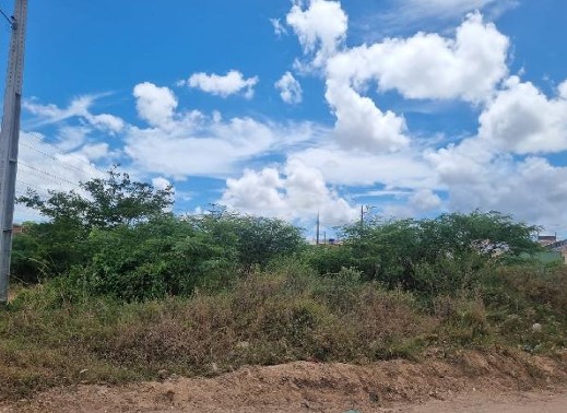 Terreno em Nossa Senhora do Socorro, Santa Ines, Rua B, N. Sn, Qd 21 Lt 01b, SE. Área: 125m2