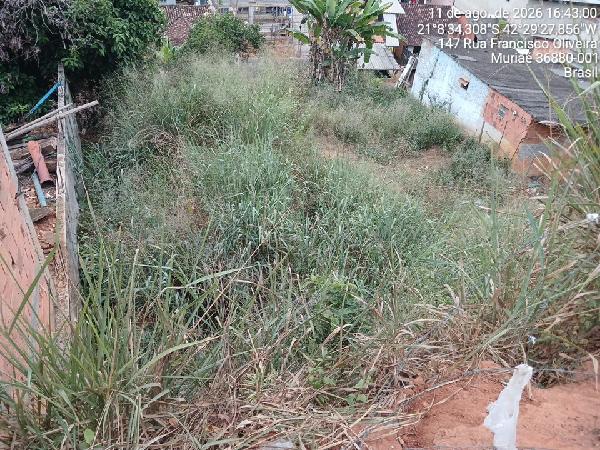 Terreno em Muriaé, Joao Xxiii, Rua Francisco Vicente De Oliveira, N. 185,, MG. Área: 186.2m2