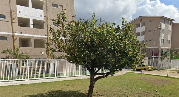 Apartamento em Itaboraí, Venda Das Pedras, Avenida Flavio Vasconcelos, N. Sn, Apto 302, Bl 03, Lt 01, Qd 08, Lot Viver Melhor, RJ. Área: 43.95m2 Apartamento em Itaboraí, Venda Das Pedras, Avenida Flavio Vasconcelos, N. Sn, Apto 302, Bl 03, Lt 01, Qd 08, Lot Viver Melhor, RJ. Área: 43.95m2