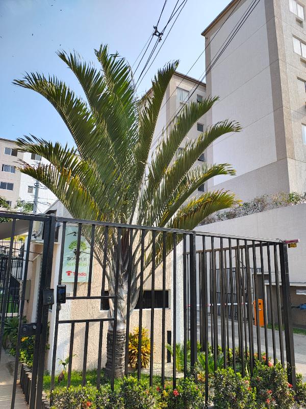 Apartamento em São Gonçalo, Monjolos, Estrada Joao De Abreu, N. 214, Apto 303, Bl-18 Lt.06, RJ. Área: 48.74m2